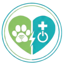 red and cream bold burger brand guidelines animated presentation (1)